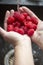 Raspberries washing under the sink female hands.