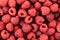 Raspberry background