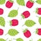 Raspberry background