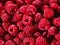 Raspberry background of berries.