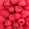 Raspberry Background. Macro