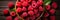 Raspberry banner. Bowl full of raspberries. Close-up food photography background