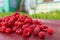 Raspberry basket / raspberry bush branch / growing raspberries