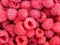 Raspberry berries