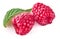 Raspberry berries with green leaf healthy food