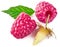 Raspberry berries with green leaf healthy food