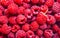 Raspberry berries. Home. Selective focus.