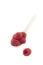 Raspberry berries in a porcelain spoon.