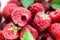 Raspberry. berry background