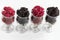 Raspberry, a big black blackberry, red currant and mulberry are located in clear glass on a light background