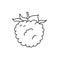 Raspberry or blackberry. Berry sketch. Black line icon. Vector illustration for coloring book