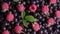 Raspberry, blackcurrants. Various colorful berries rotation background.