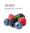 Raspberry, blueberry and blackberry fruits