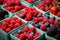 Raspberry, blueberry, blackberry and raspberry in a box, Farmers Market Berries Assortment Closeup. Strawberries, Blueberries,
