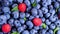 Raspberry, Blueberry and Mint leaves close-up. Berries, Various colorful background, Juicy Ripe Summer berries.