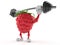 Raspberry character lifting heavy barbell