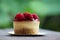 Raspberry cheese cake sweet bake topping with fruit on wood background