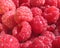 Raspberry close up - berry background