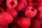 Raspberry Closeup