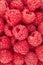 Raspberry closeup