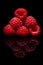 Raspberry closeup. Isolated on