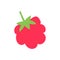 Raspberry. Cutouts fruit. Shape colored cardboard or paper. Funny childish applique