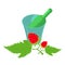 Raspberry drink icon isometric vector. Raspberry branch and bottle in ice bucket