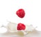 Raspberry falling into splash of milk