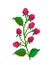 raspberry flower pixel image. cross stitch pattern vector illustration