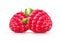 Raspberry. Fresh organic berry. Vector illustration.