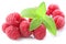 Raspberry fruit