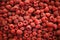 Raspberry fruit background