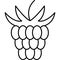 Raspberry Fruit Icon Vector Outline