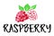 Raspberry fruit label and sticker