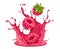 Raspberry fruits falling down into the juice splash. Vector