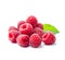 Raspberry fruits on white backgrounds.