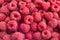 Raspberry group macro