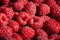 Raspberry group macro