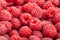 Raspberry group macro