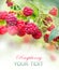 Raspberry. Growing Organic Berries