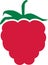 Raspberry icon vector