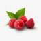 Raspberry isolated. Raspberries with leaf isolate. Raspberry with leaf isolated on white. Side view raspberries set.