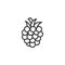 Raspberry line icon