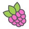 Raspberry line icon, fruit and diet,