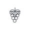 Raspberry line icon isolated vector