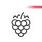 Raspberry line vector icon. Outline, editable stroke.