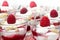 Raspberry mascarpone dessert