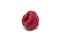 Raspberry over white background