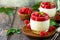 Raspberry Panna cotta with raspberry jelly, Italian dessert, homemade cuisine.