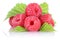 Raspberry raspberries berry berries fruit with leaves isolated o